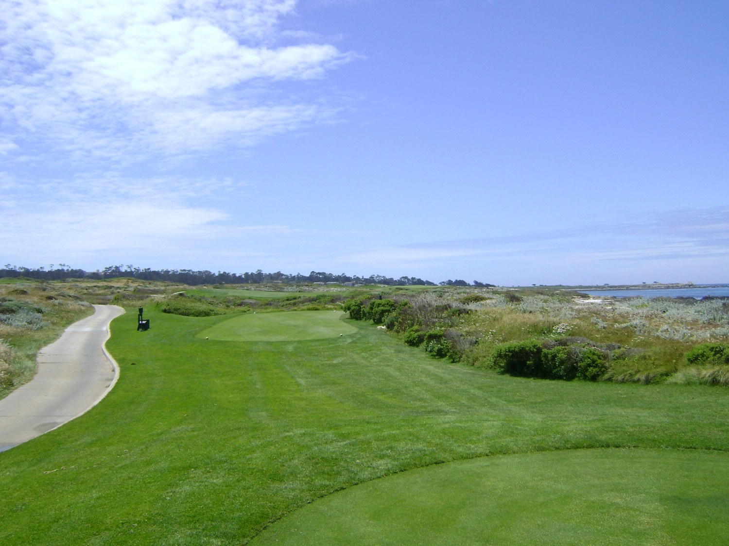 Fairway Cypress at Pebble Beach Golf Links