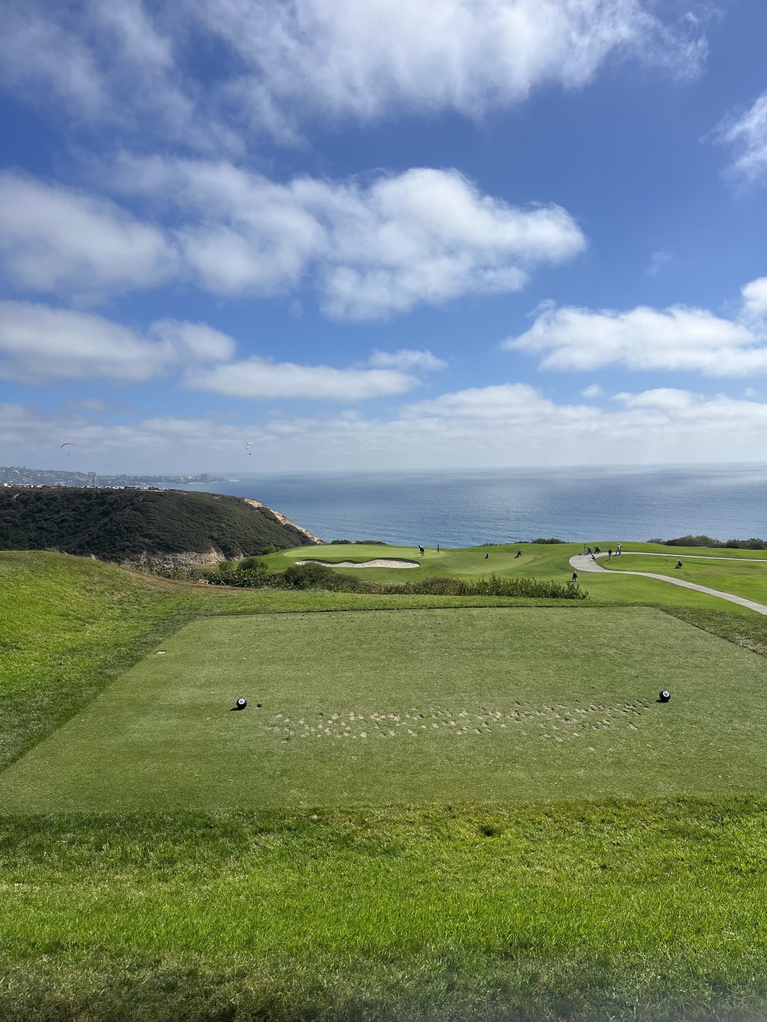 Photographs of Torrey Pines