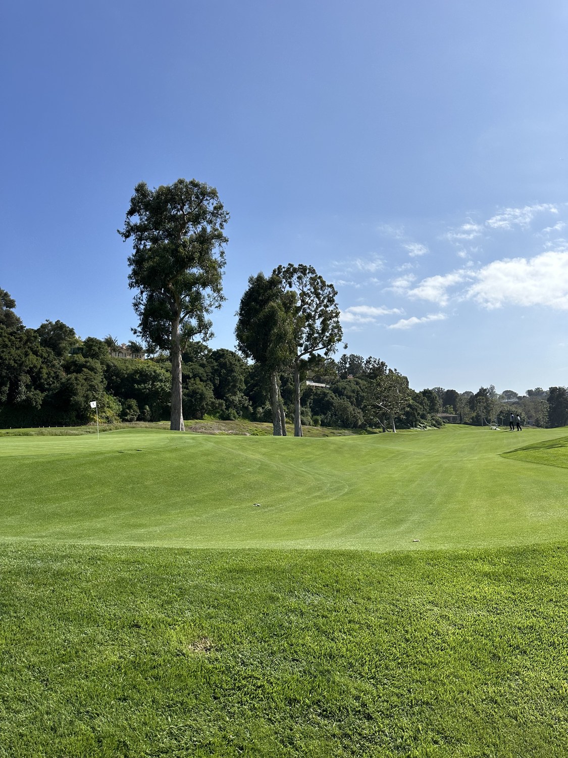 Gold Putt at Riviera