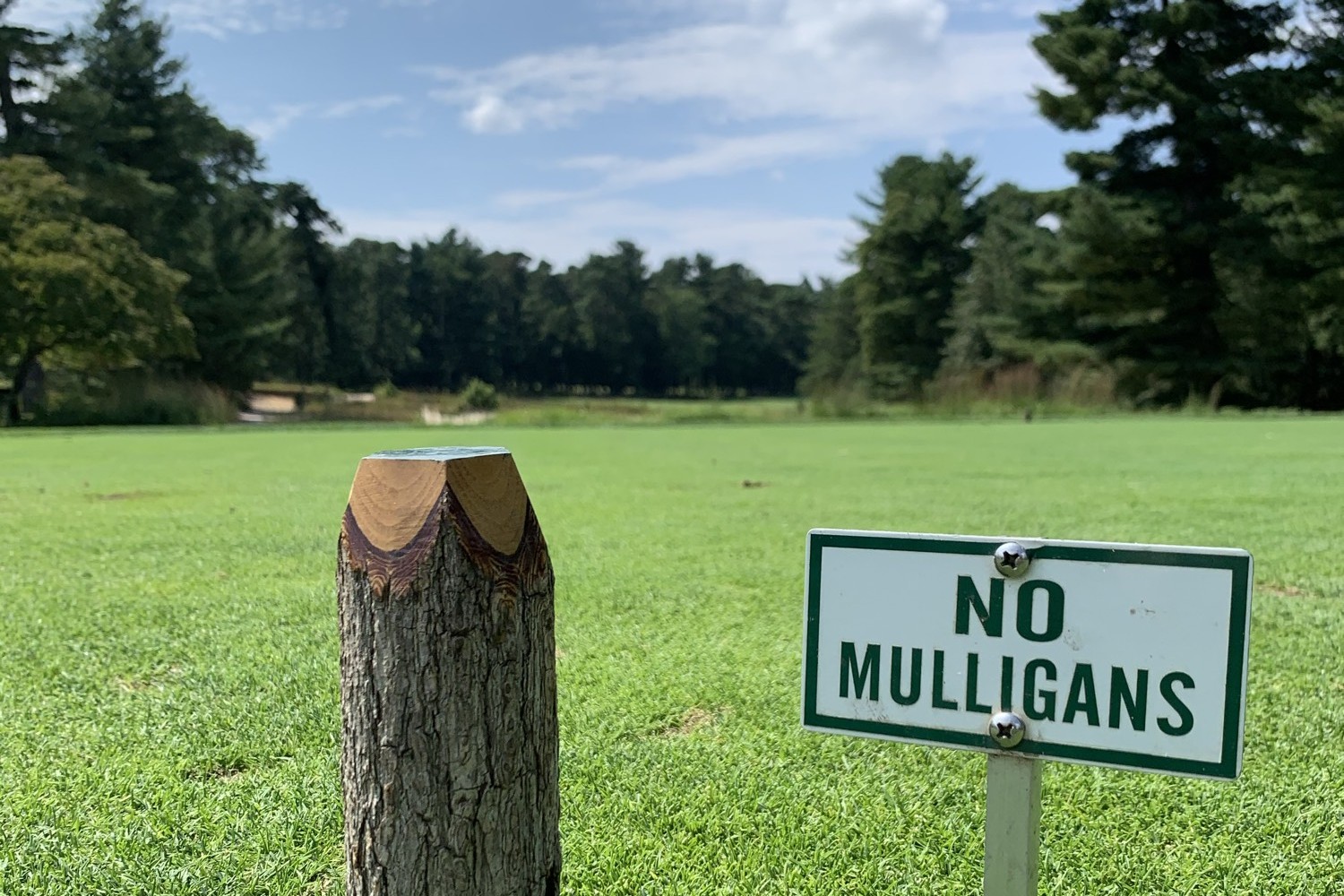 No Mulligans, Pine Valley