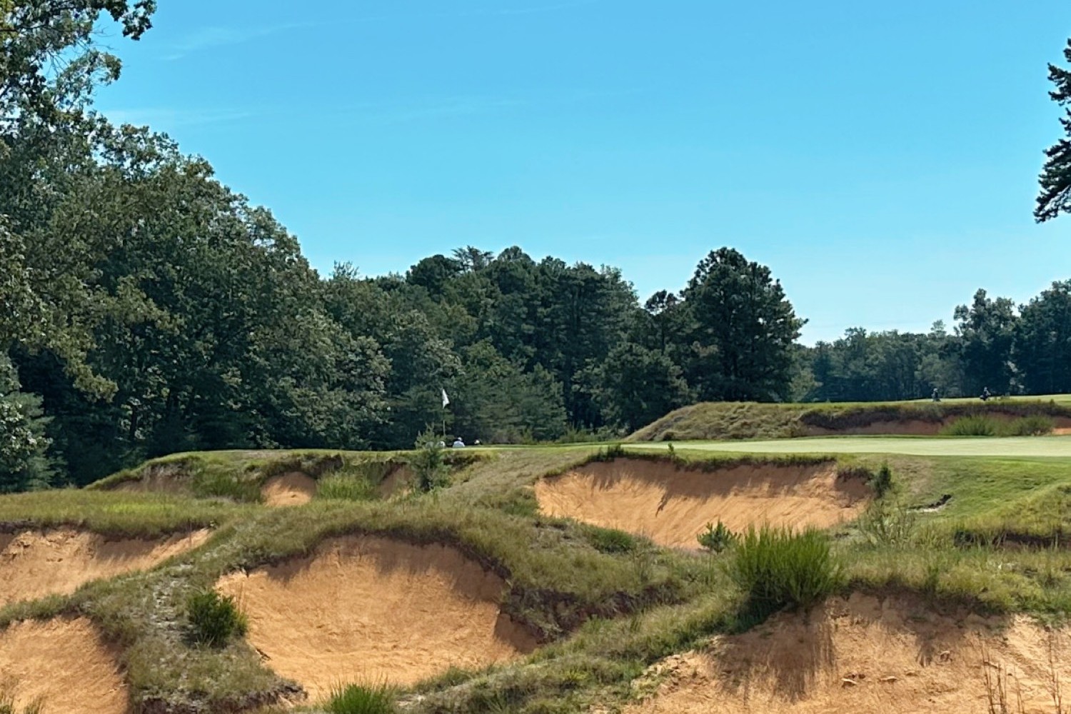 Photographs of Pine Valley
