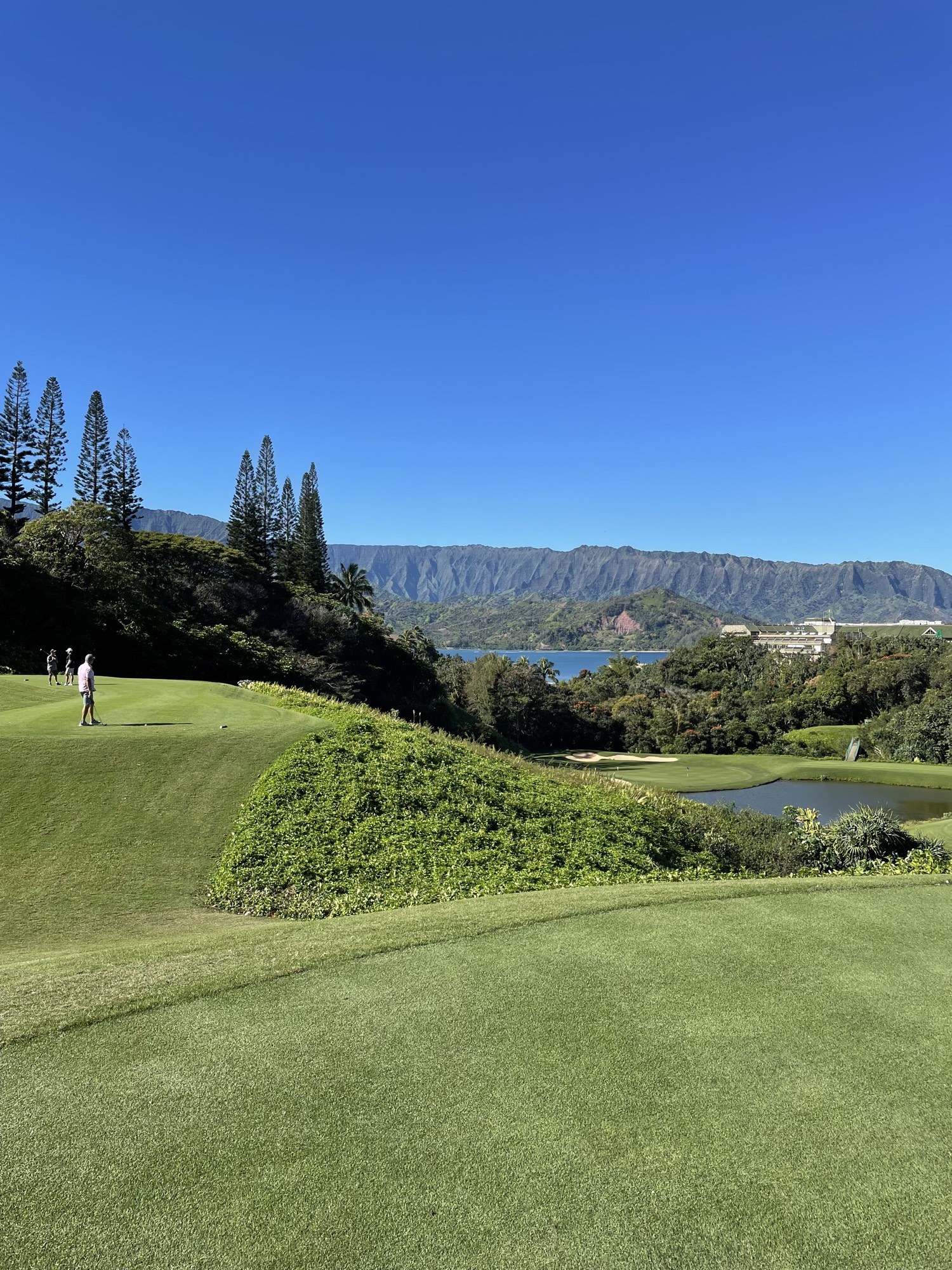 Pali View, Princeville Makai