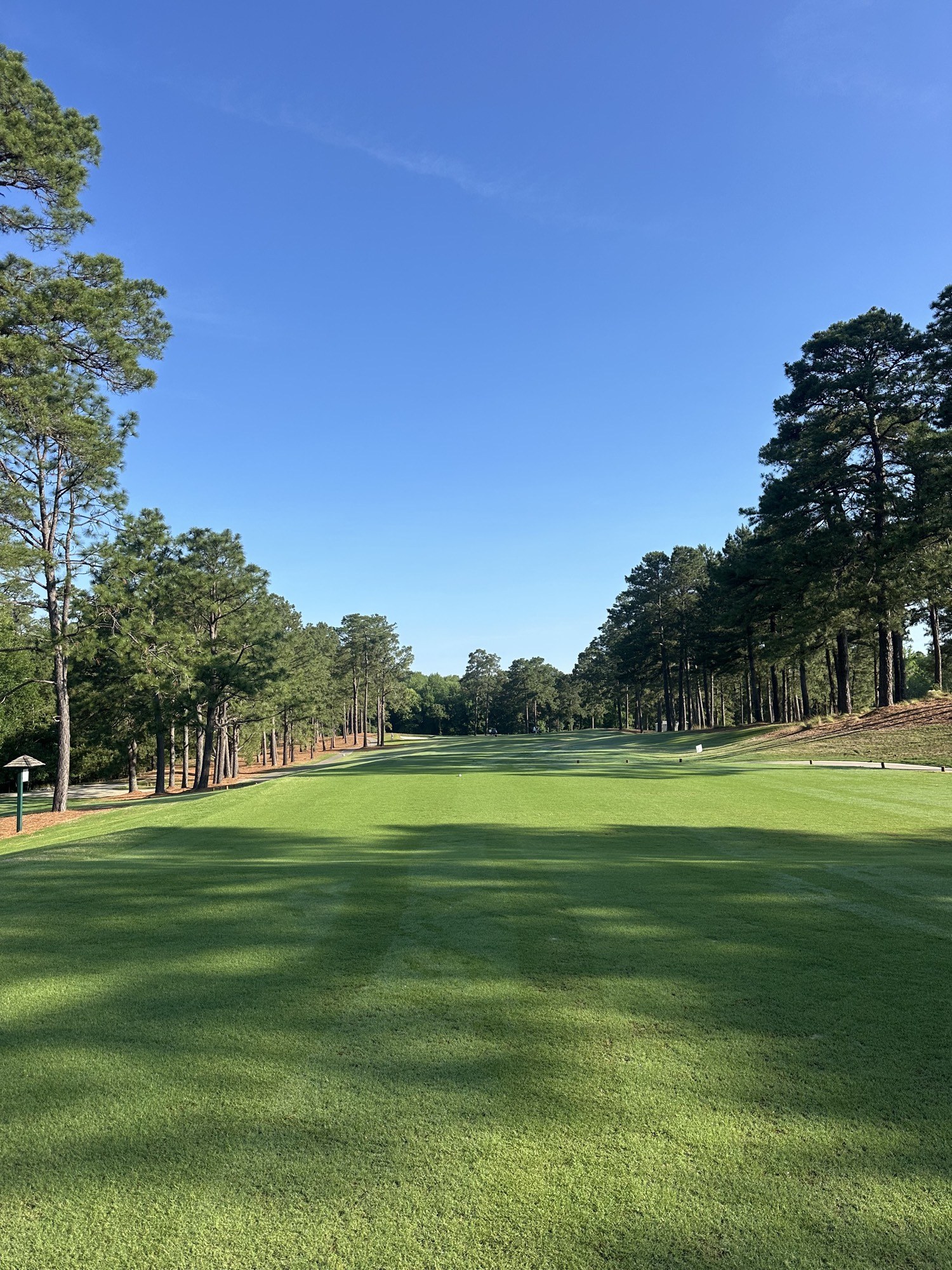 Pine Avenue, Pinehurst