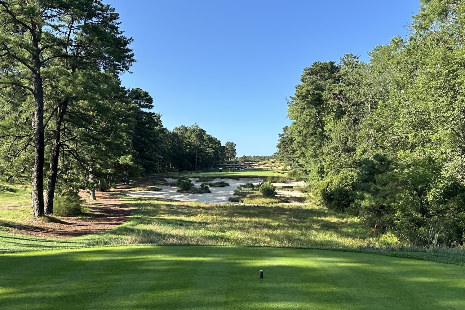 Pine Corridor, Pine Valley