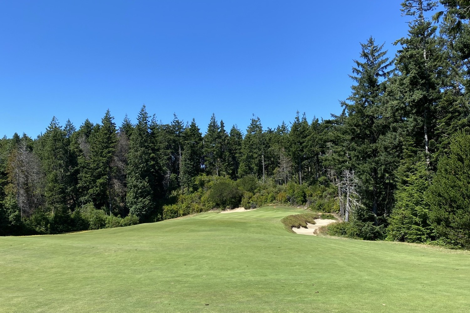 Pine Cut, Bandon Dunes