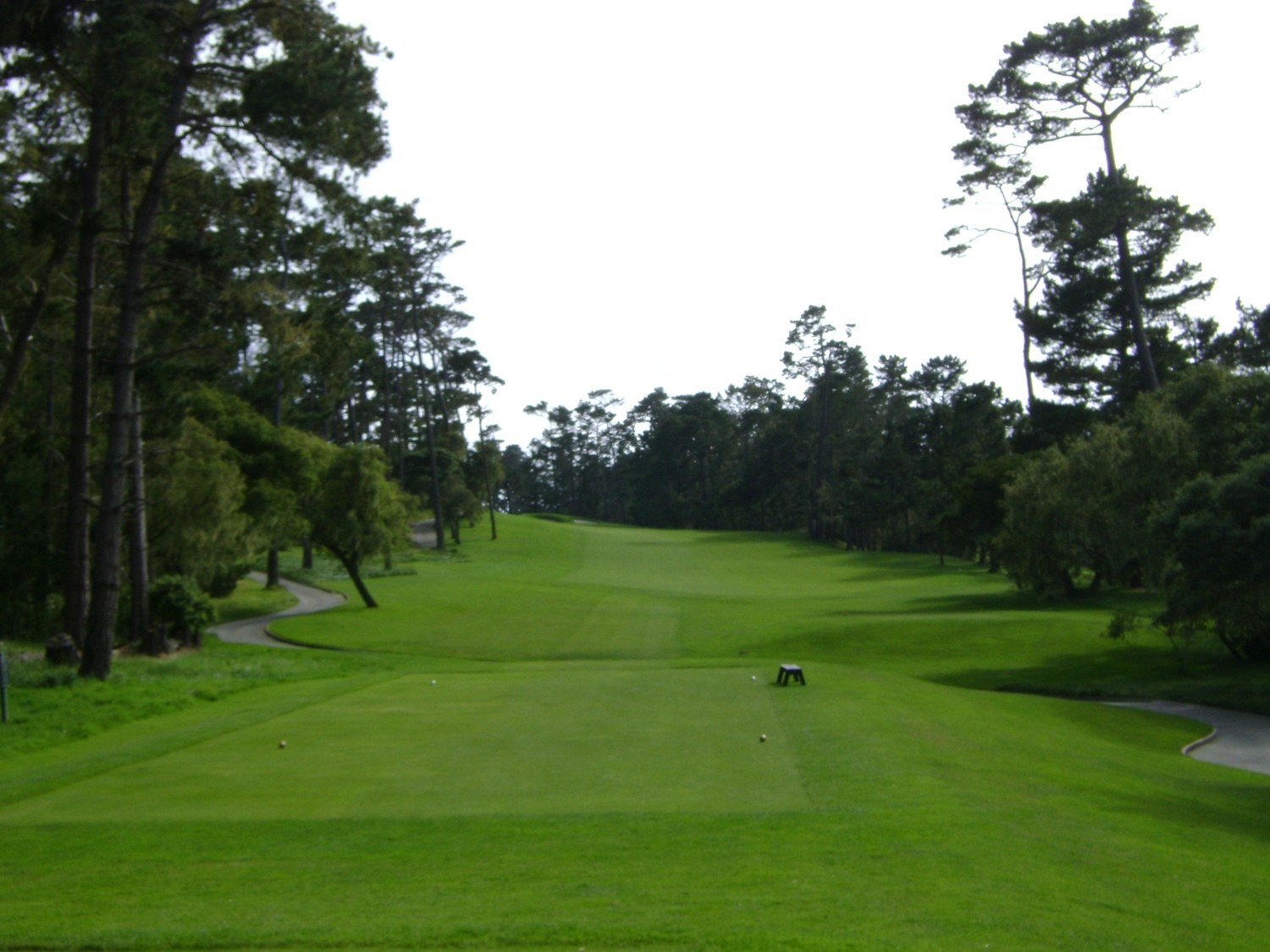 Short Grass at Pebble Beach Golf Links