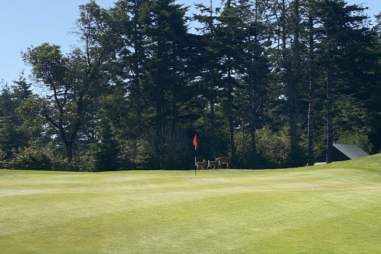 Photographs of Bandon Dunes