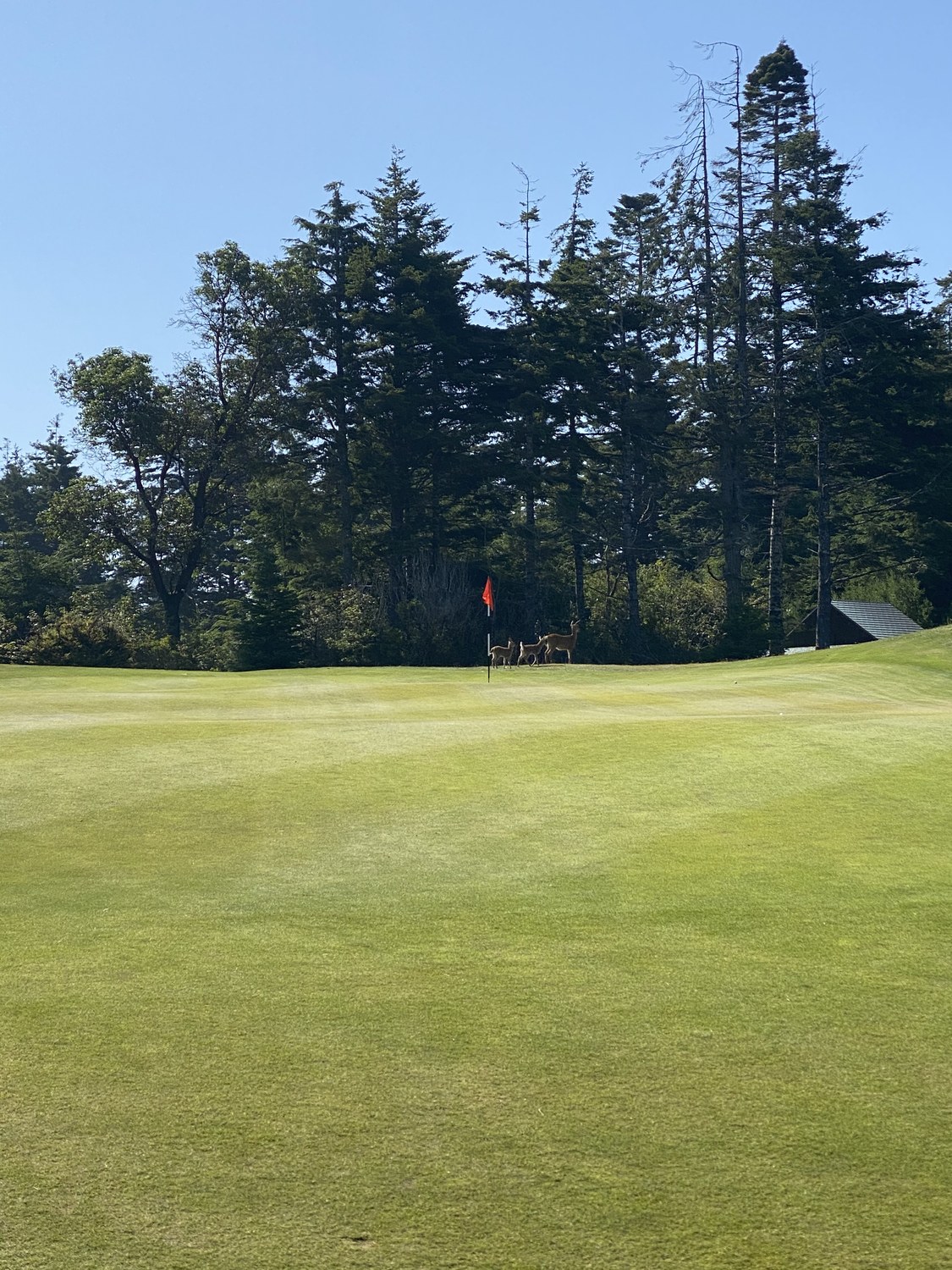 The Punchbowl at Bandon Dunes
