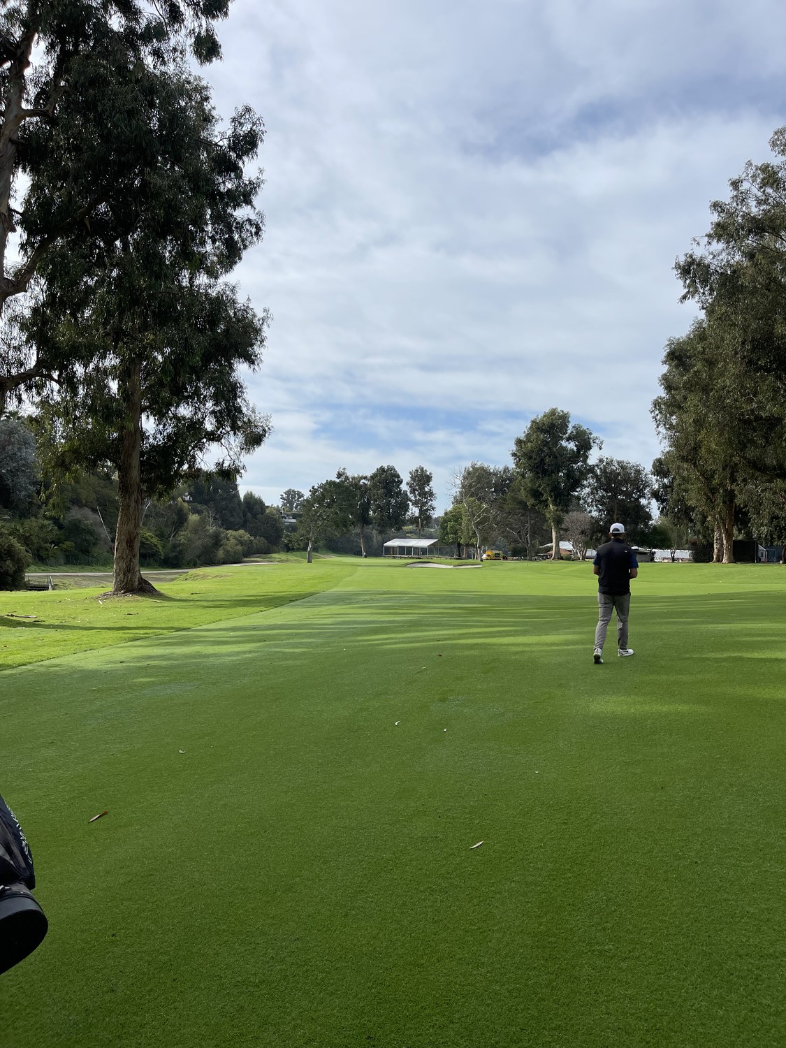 The Sycamores at Riviera