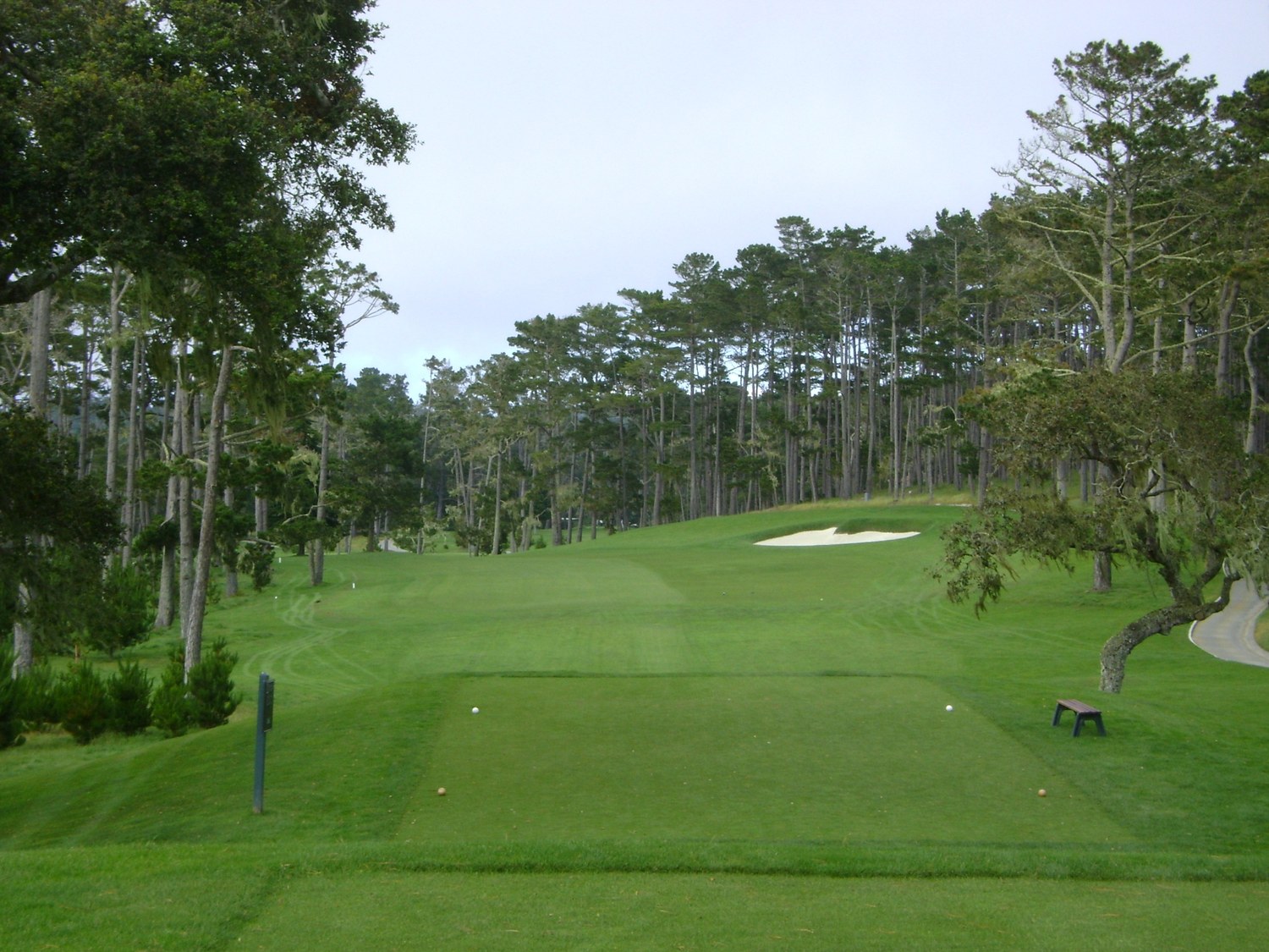 Through the Cypress at Pebble Beach Golf Links