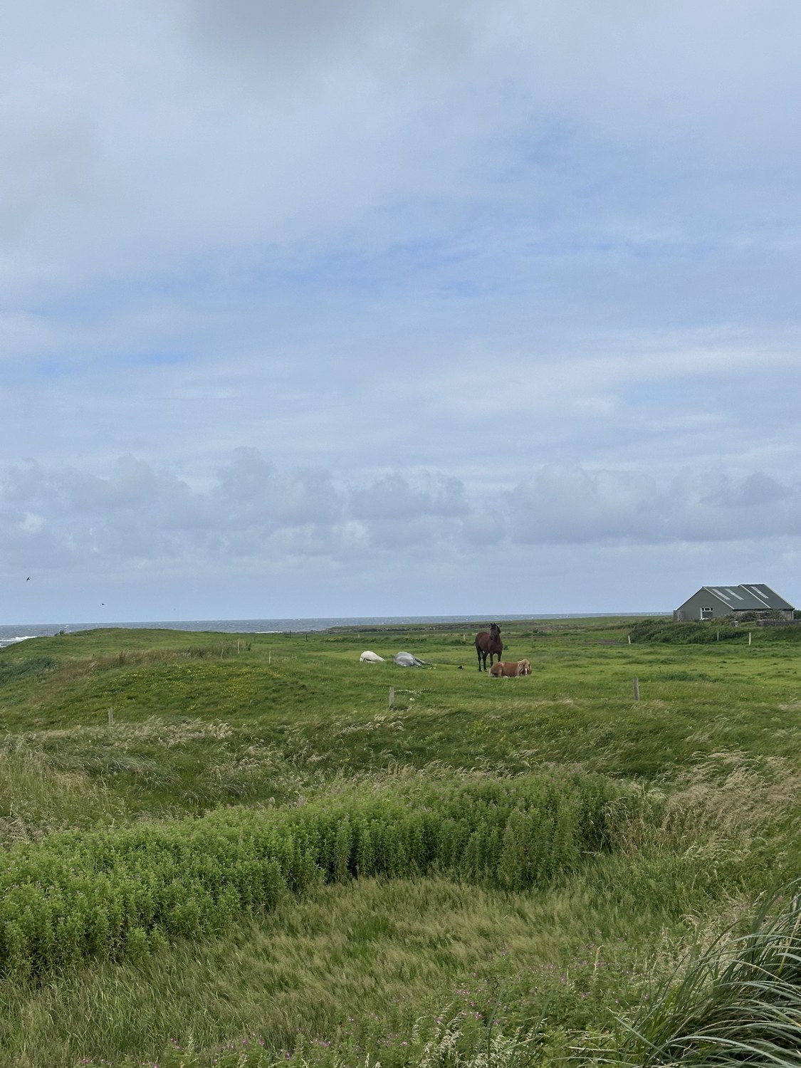 Yellow Bowl at Lahinch